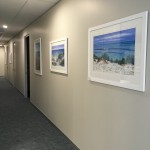 IMG_0034